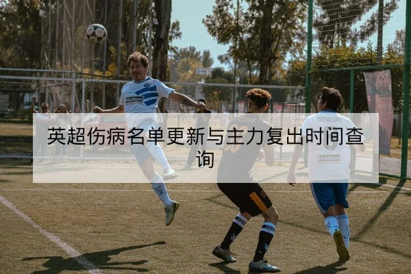 中超本轮伤病名单与外援可用性追踪